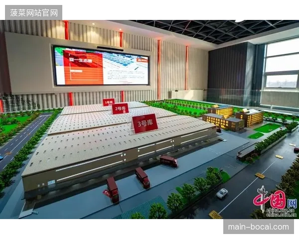 京东亚洲一号体育专仓，2026年Q1运动鞋服分拣错误率降至万分之三。